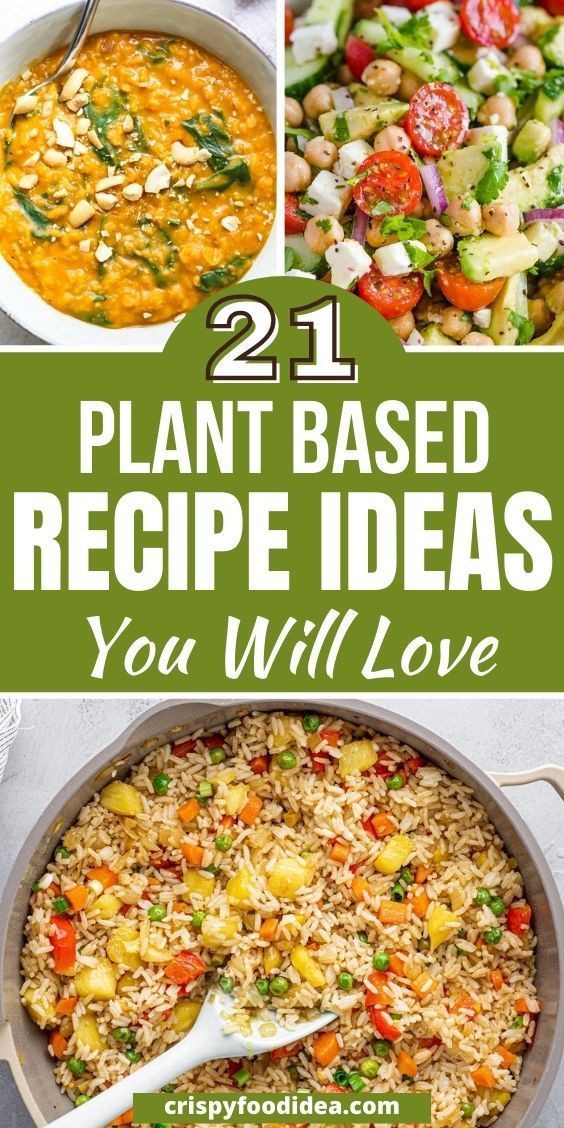 8 Plant-Based Meal Ideas for a Healthy and Balanced Diet